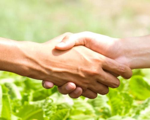 Harvesting the Future