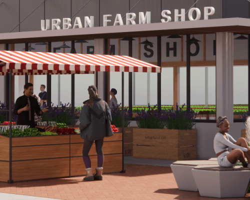 Cultivating Sustainability: The Rise of LocalDutch Shops