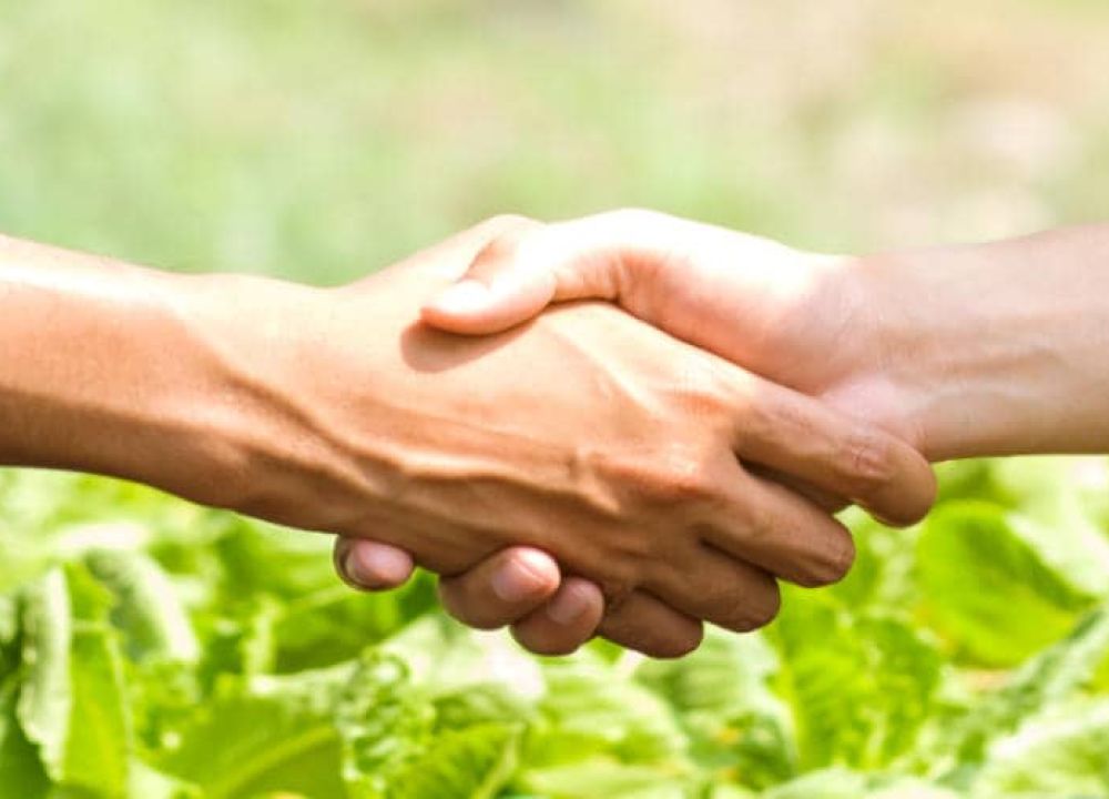 Harvesting the Future