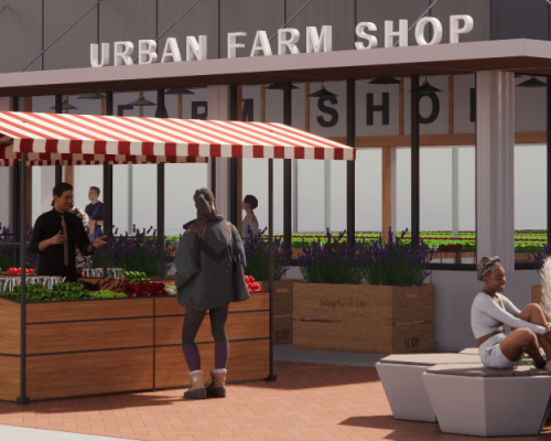 Cultivating Sustainability: The Rise of Urban Farm Shops