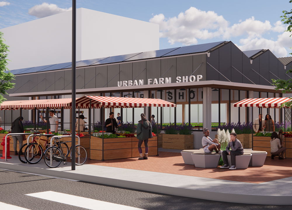 Cultivating Sustainability: The Rise of LocalDutch Shops