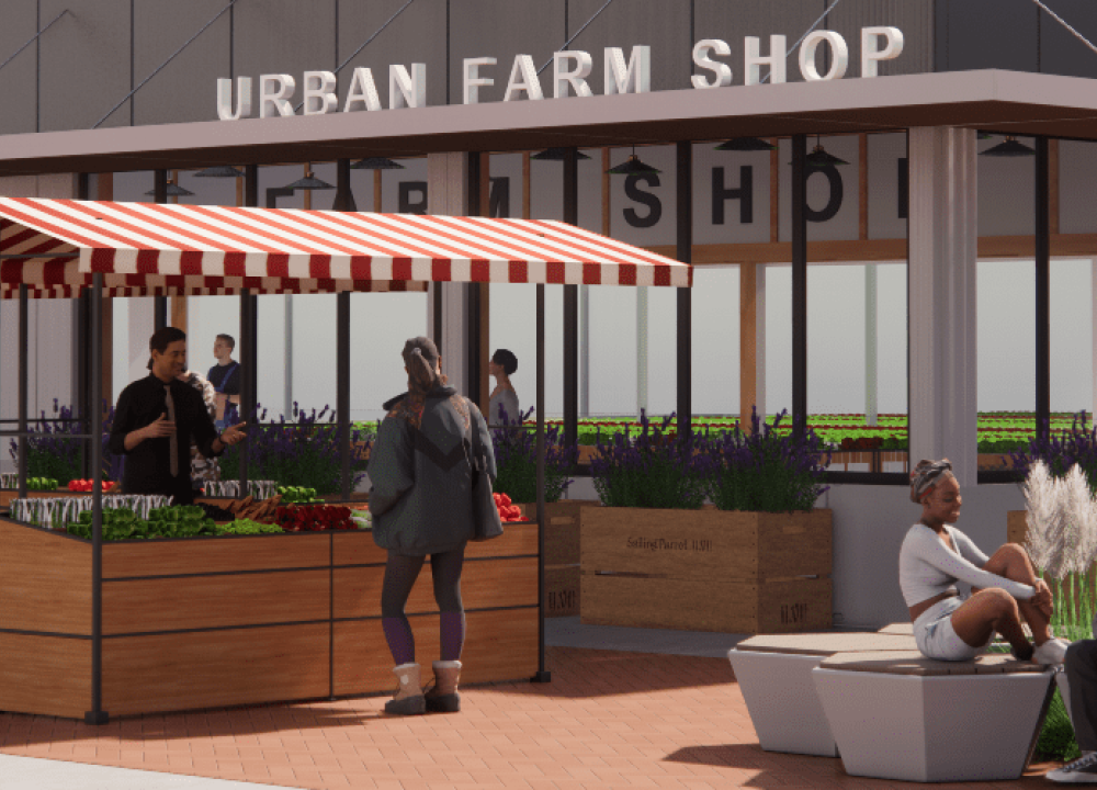 Cultivating Sustainability: The Rise of Urban Farm Shops
